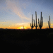 SEO in Arizona