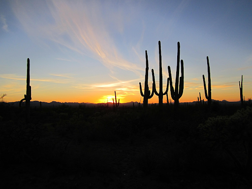 SEO in Arizona